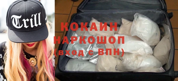 МДПВ Алзамай