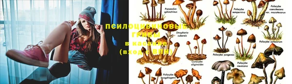 мяу мяу кристалл Абаза
