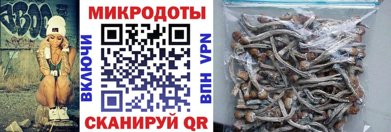 Галлюциногенные грибы ЛСД  наркошоп  blacksprut ТОР  Дмитриев 